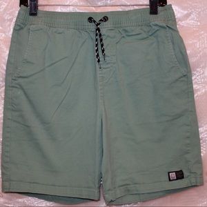 Men’s Green Lira Forever Volley Shorts